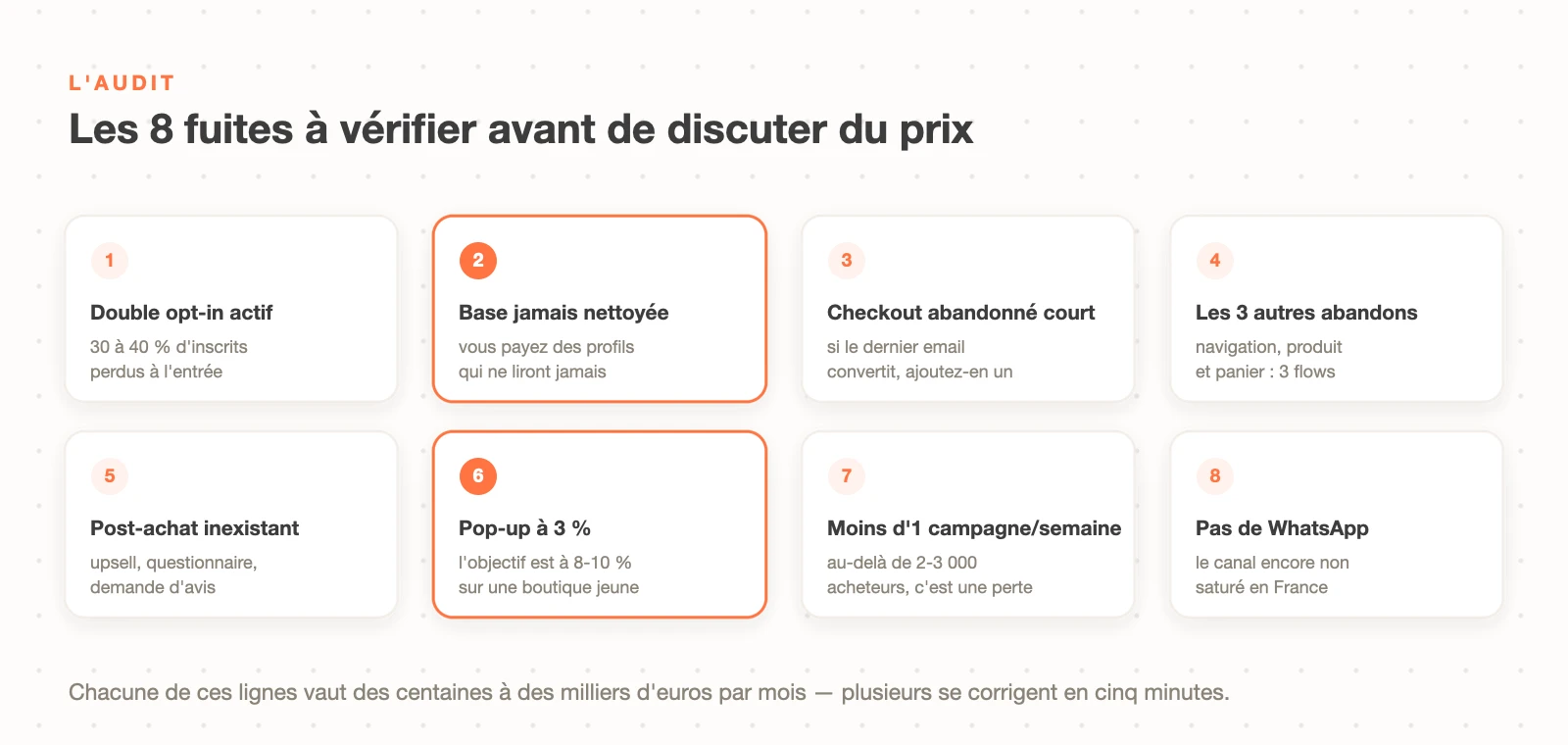 Les 8 fuites d'argent à vérifier dans un compte Klaviyo : double opt-in, base non nettoyée, flows d'abandon, post-achat, pop-up, campagnes et WhatsApp